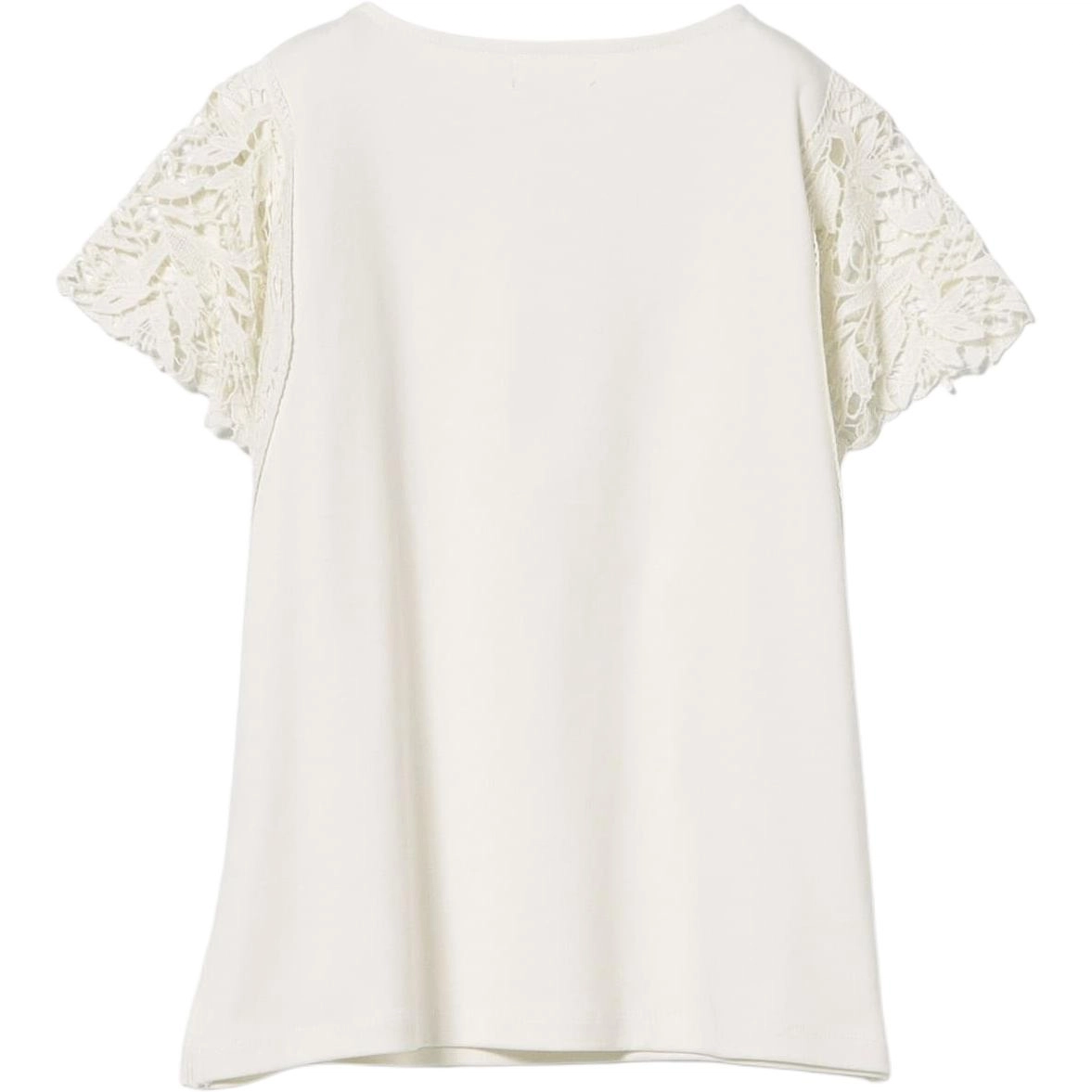 beams T