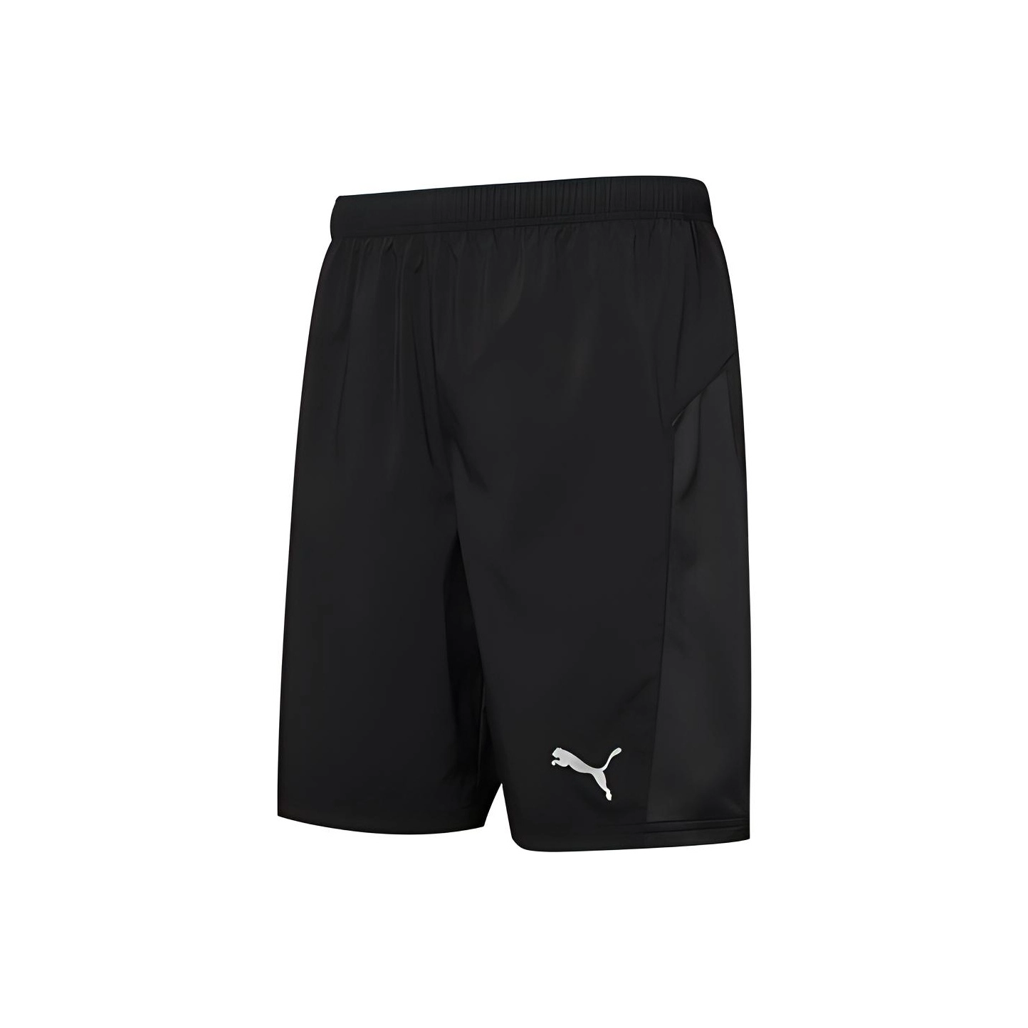 Puma Session Logo