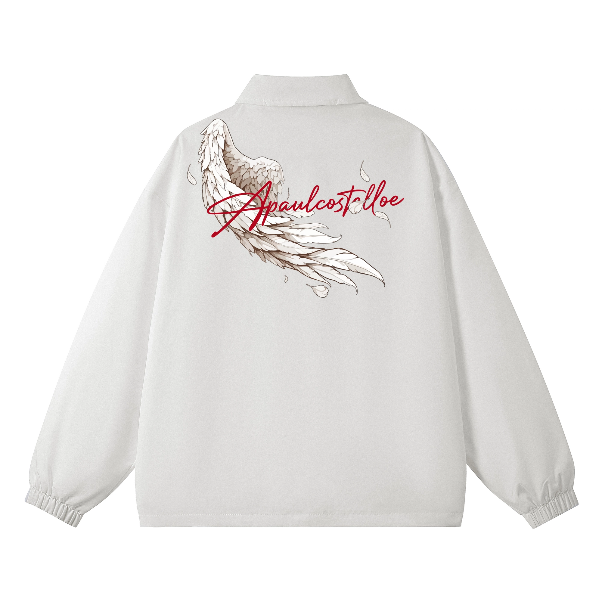 PAUL COSTELLOE Logo
