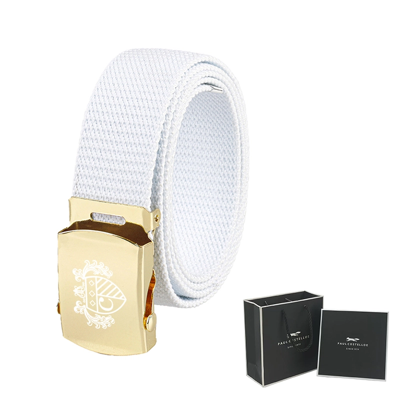 PAUL COSTELLOE 3.3