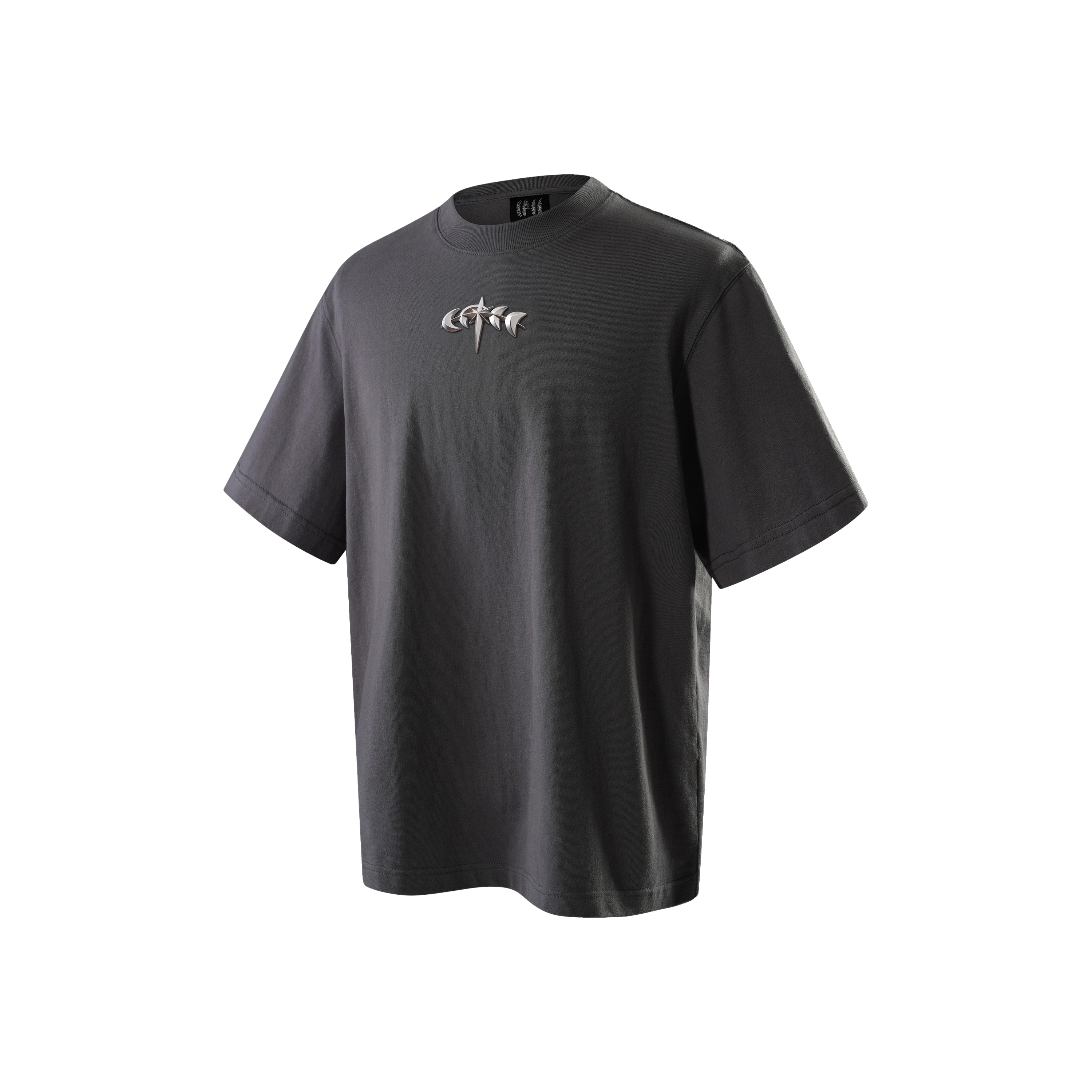 TBHNP logo T