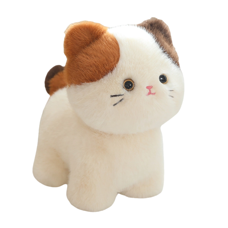 20cm30cm