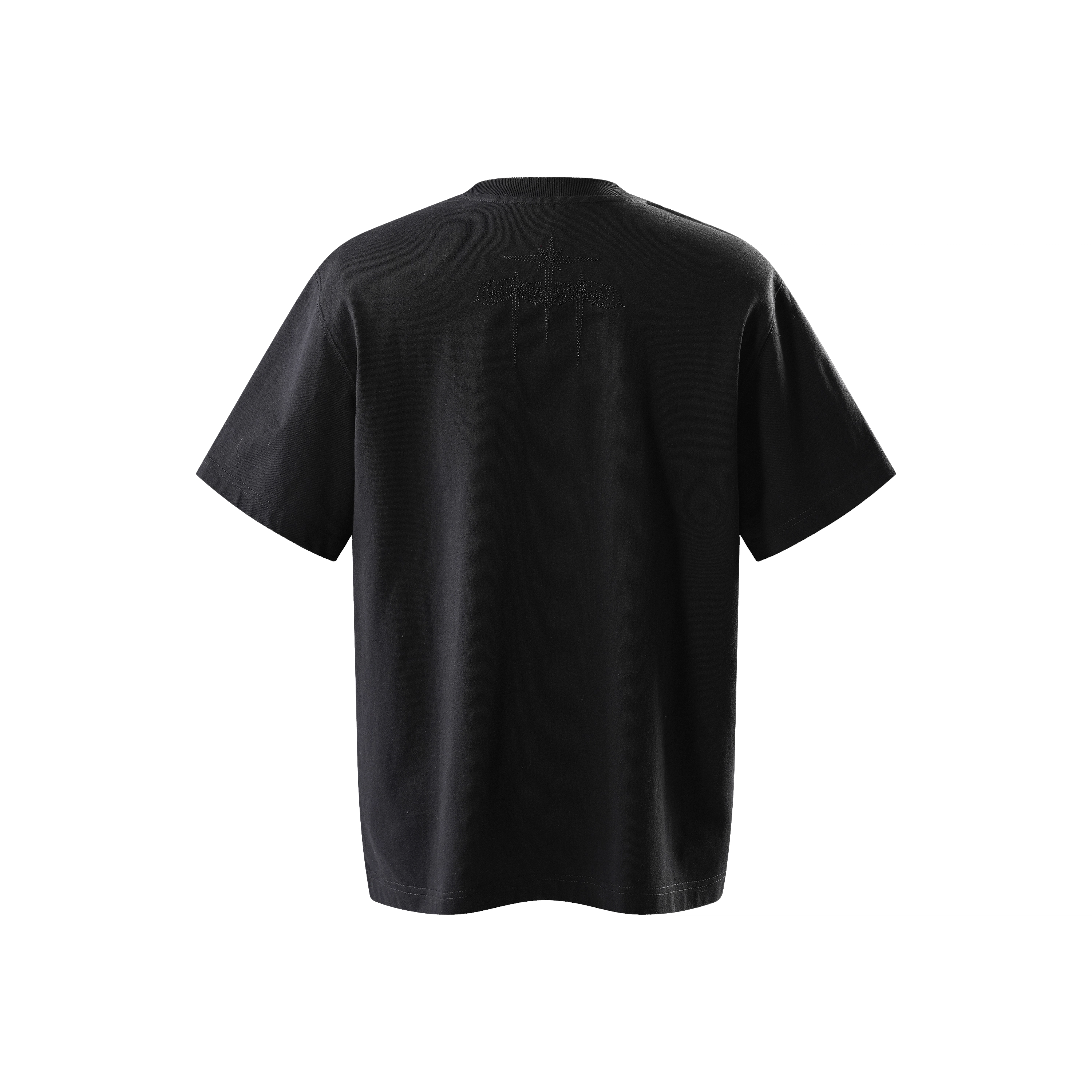 TBHNP logo T