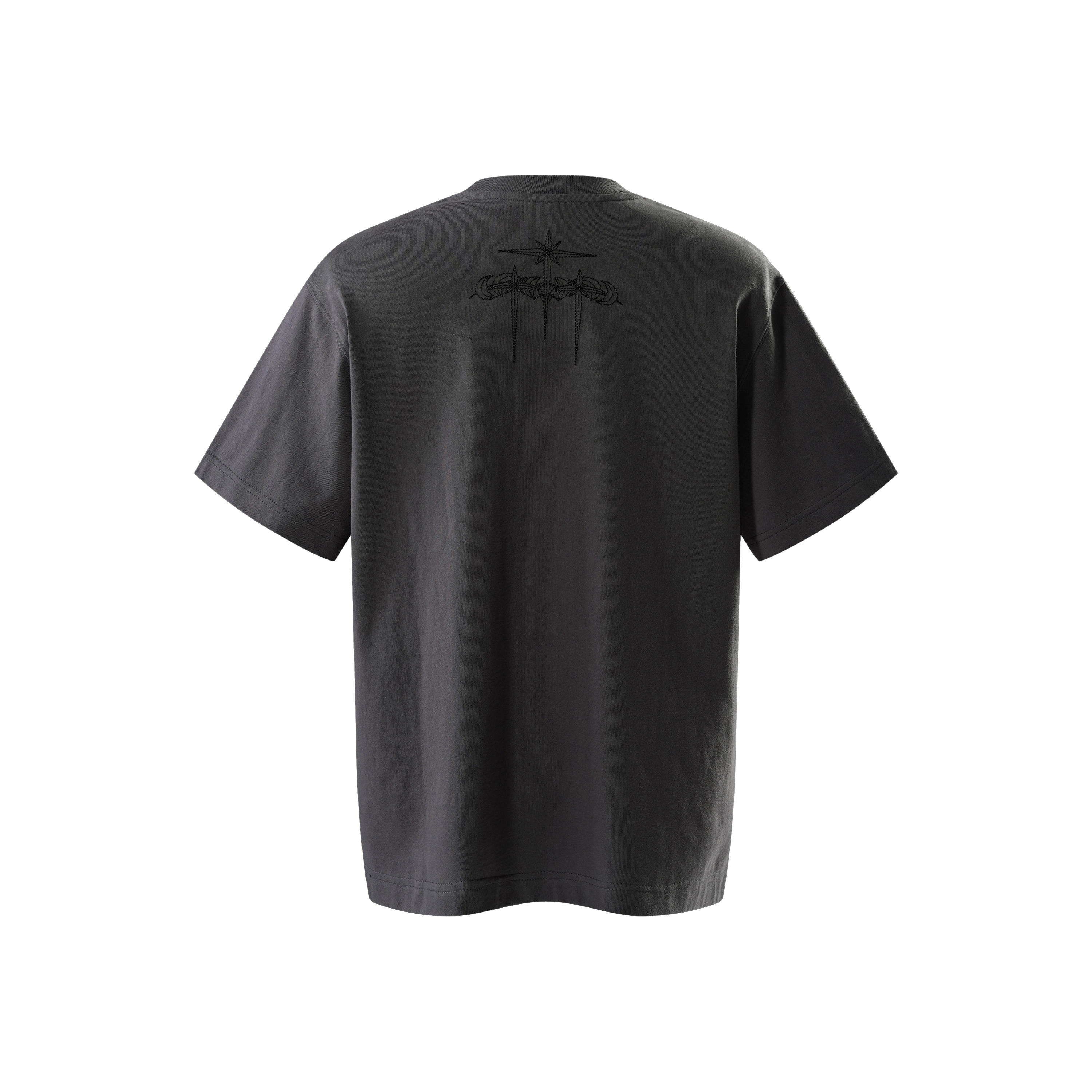 TBHNP logo T