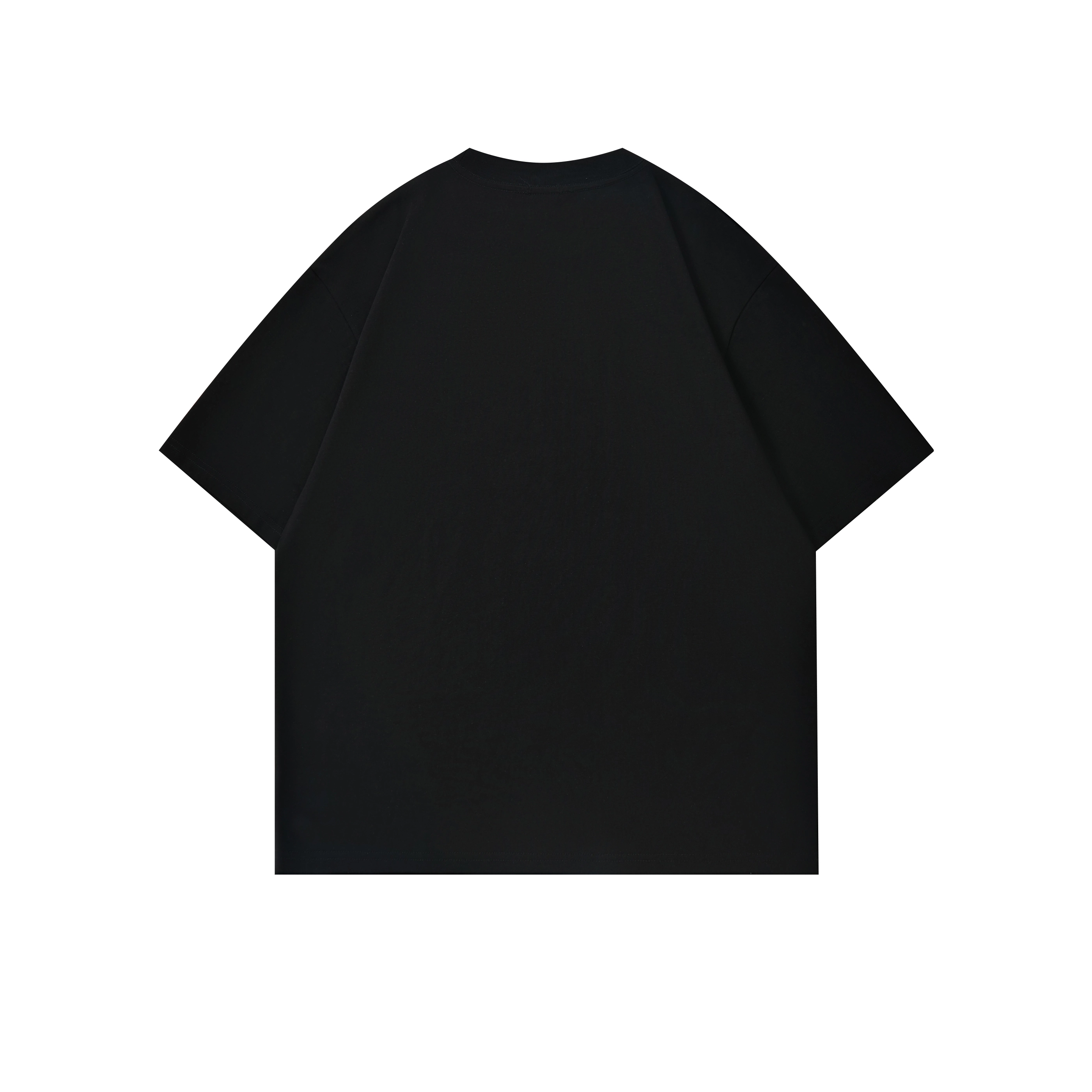 HIPHOPPUNKS T