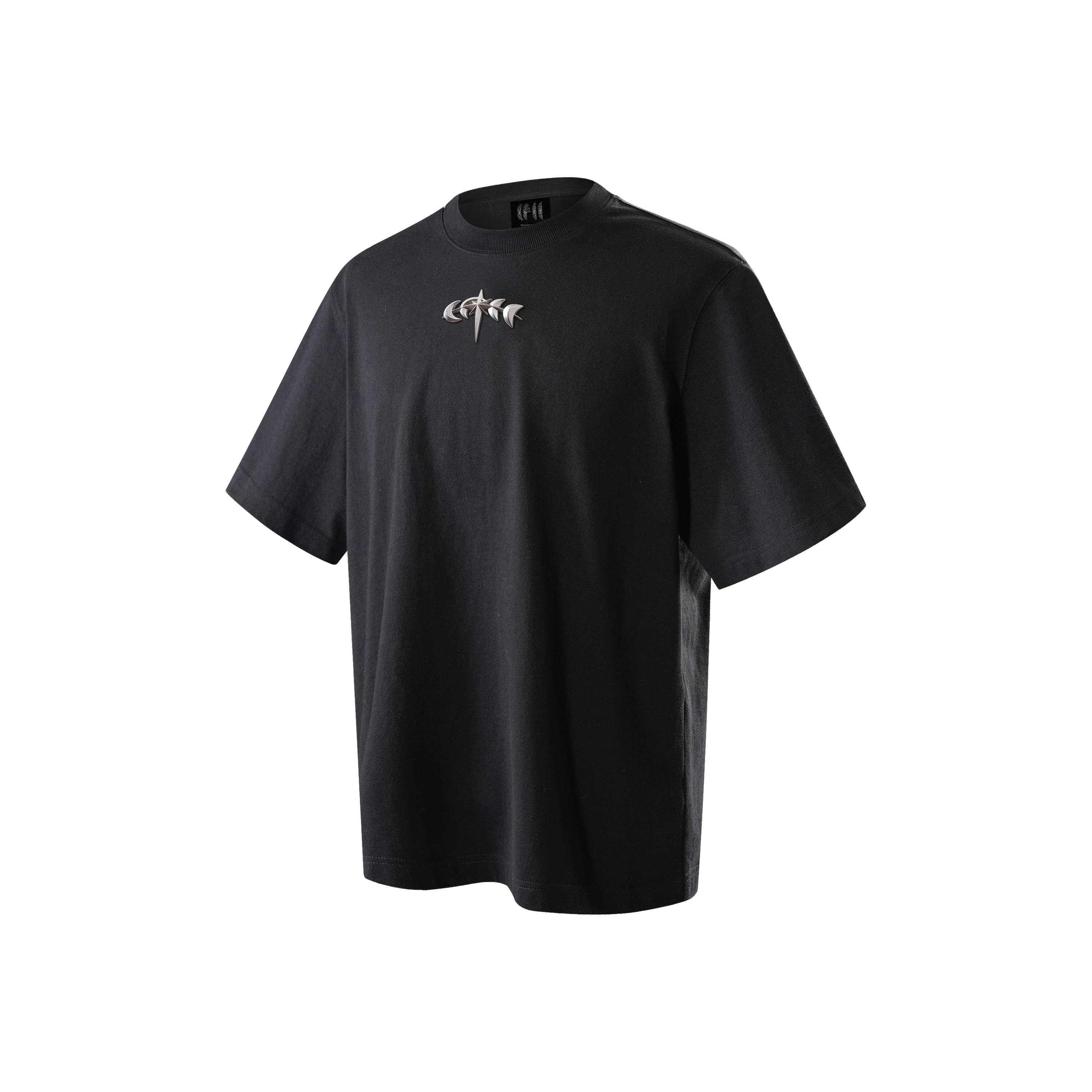 TBHNP logo T