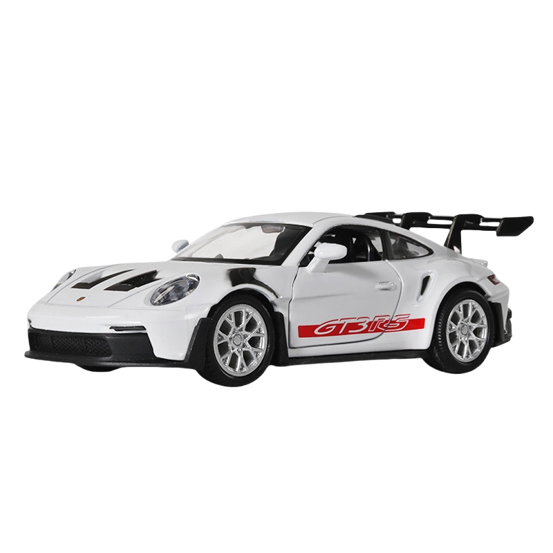 CANEXT 136911GT3RS