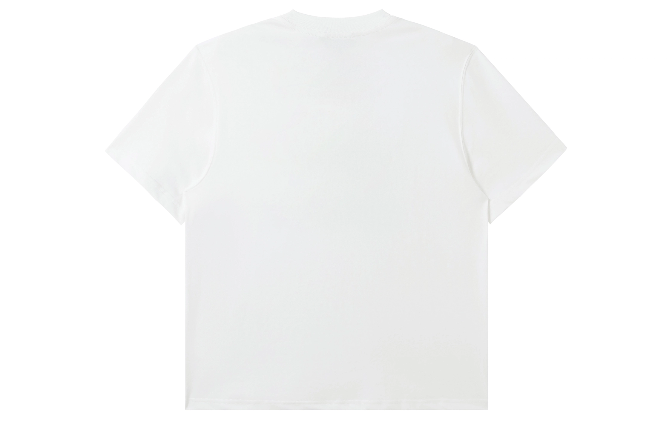 ICONS Lab ICS T