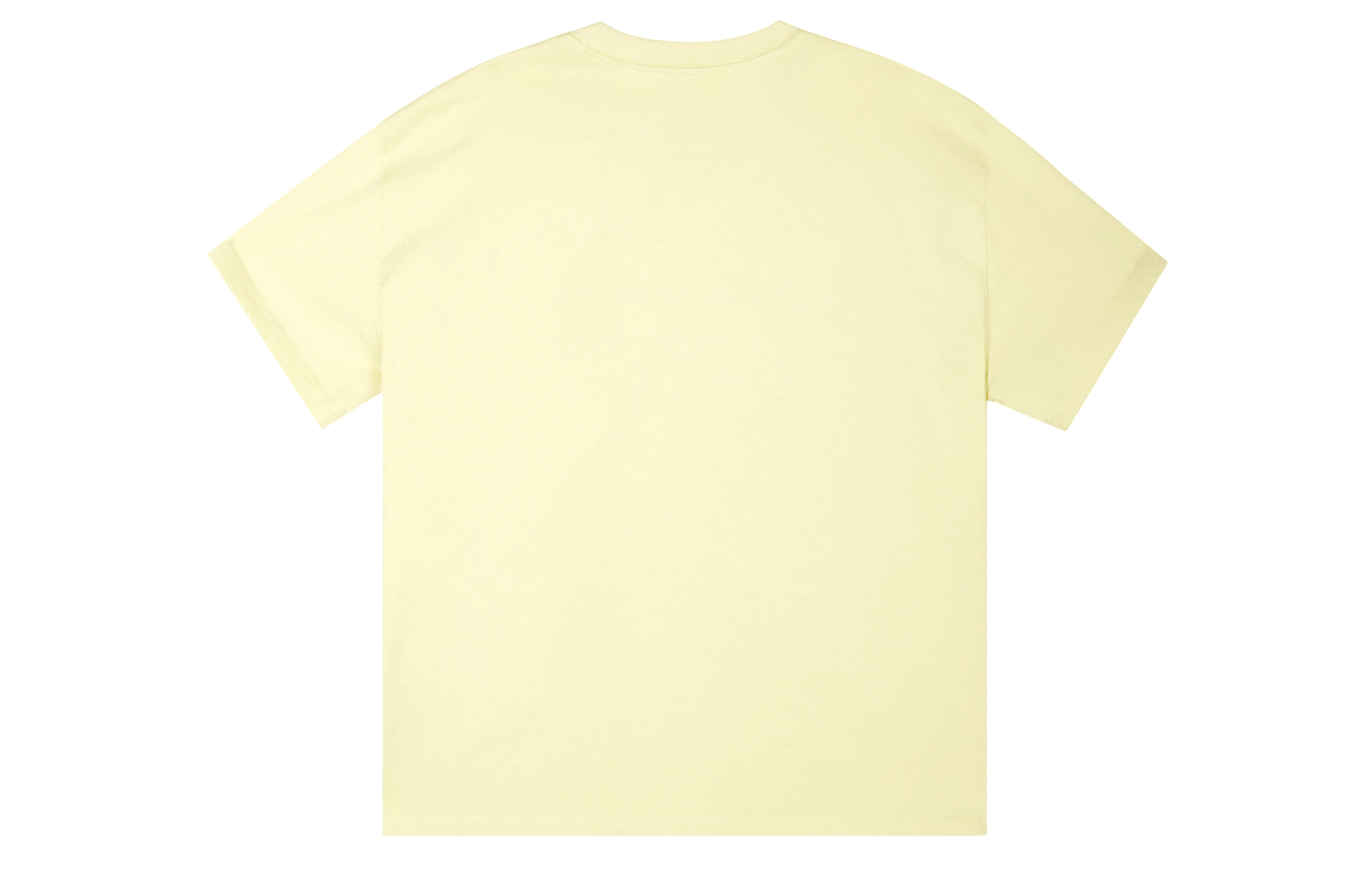 ICONS Lab ICS T
