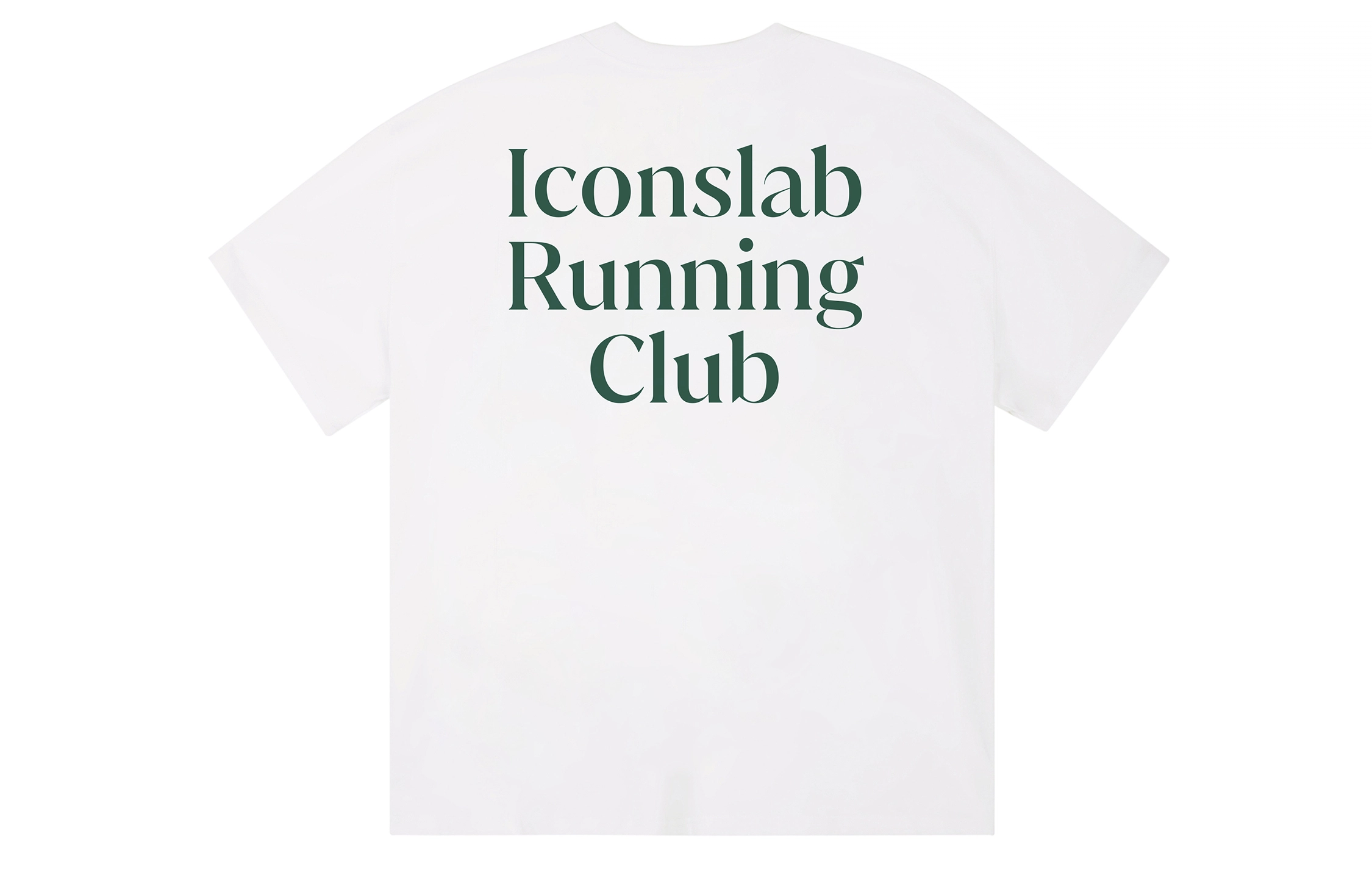 ICONS Lab ICS T