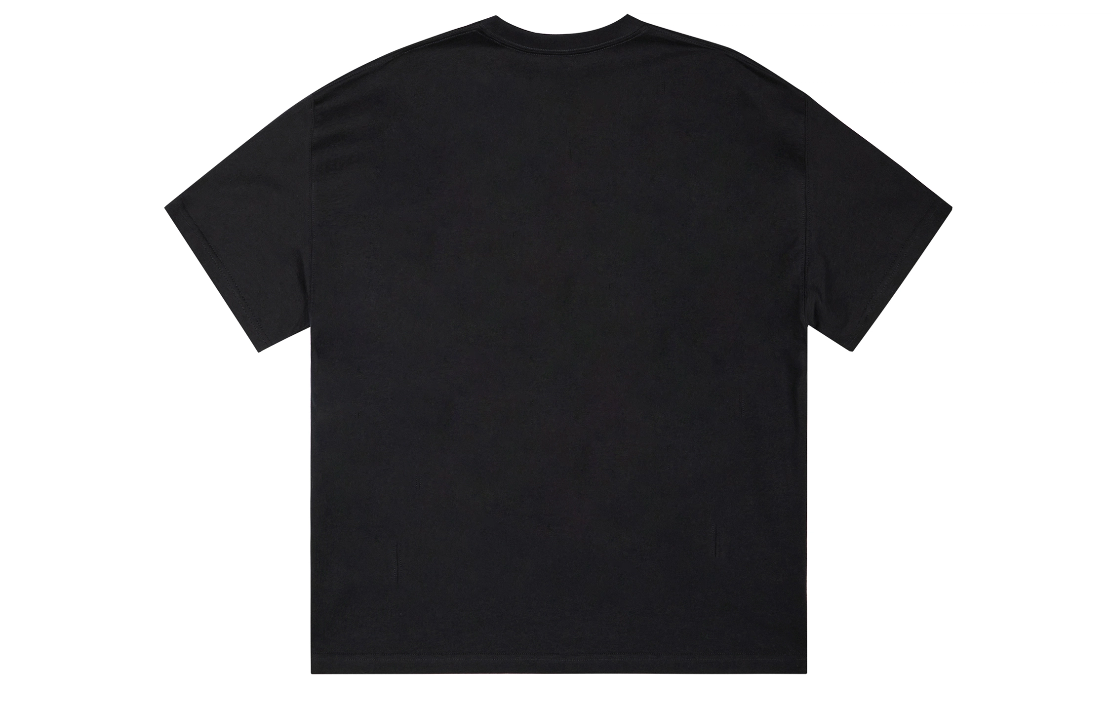 ICONS Lab ICS T