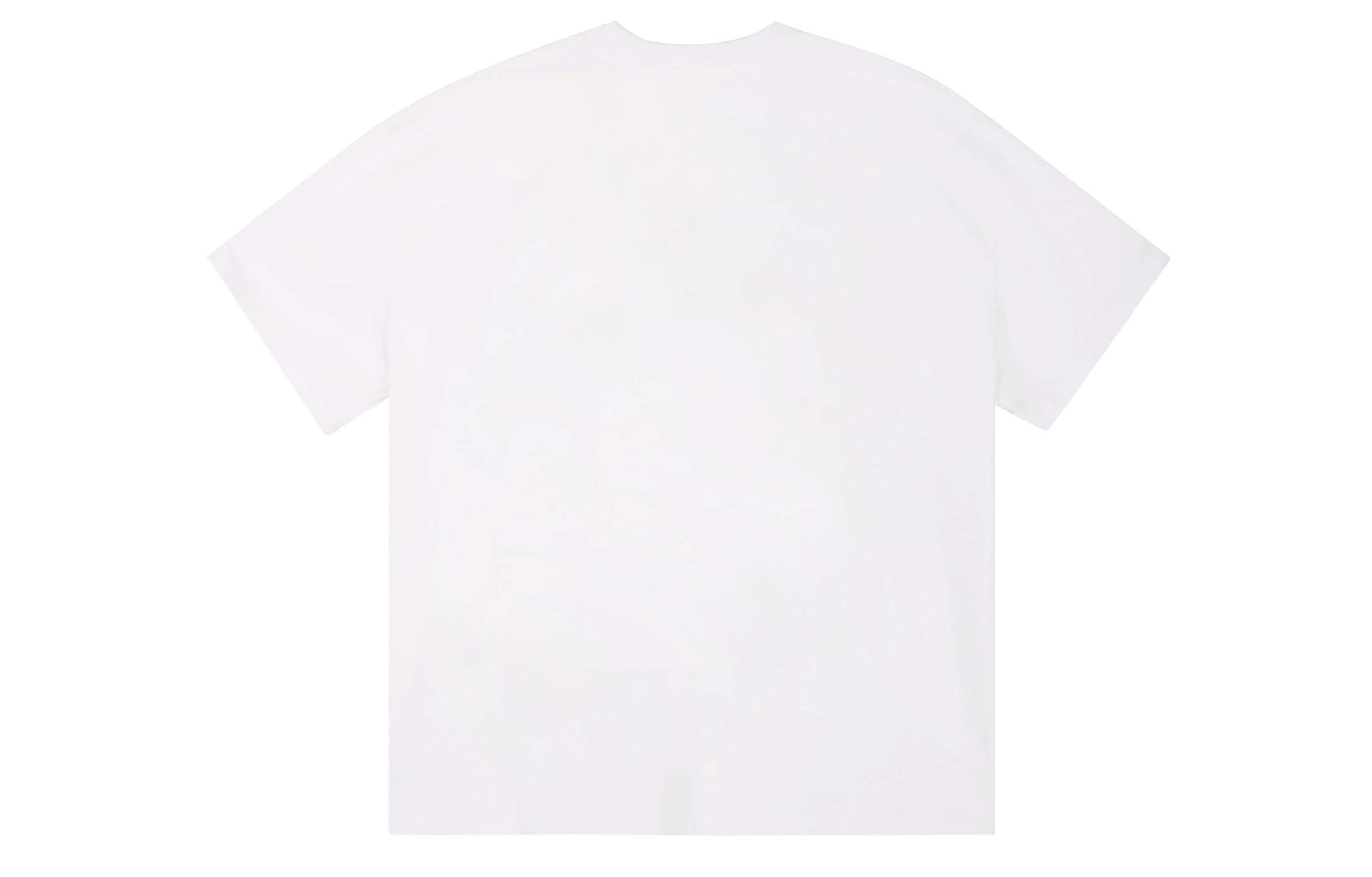 ICONS Lab ICS T