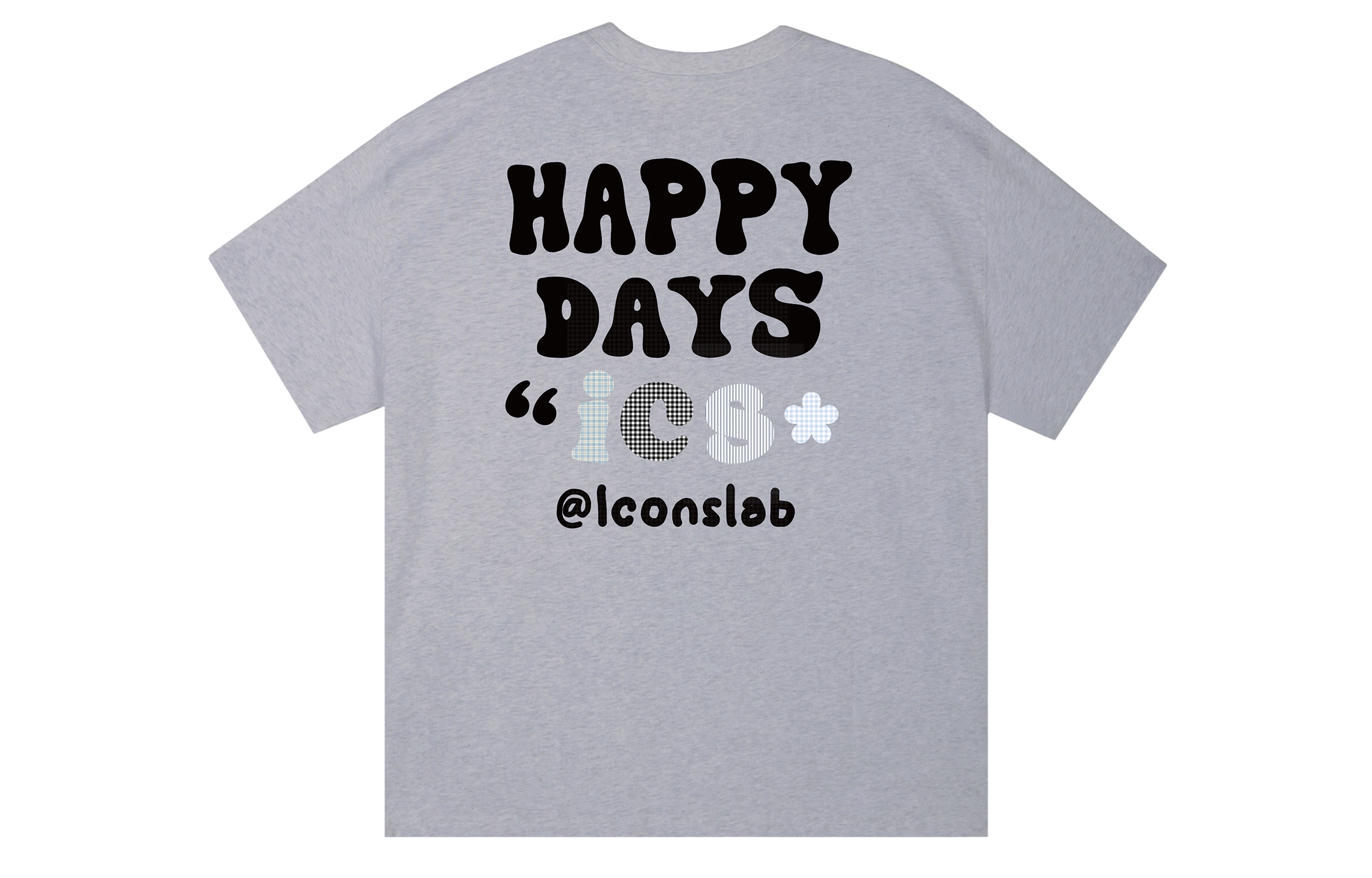 ICONS Lab ICS T