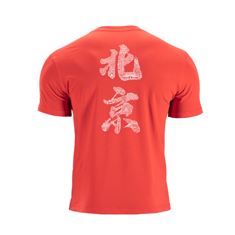 LUXIAOJUN T