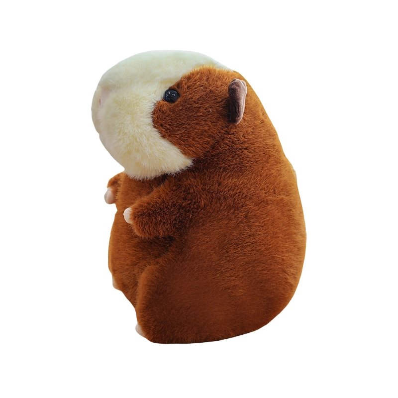 CANEXT 23cm30cm40cm