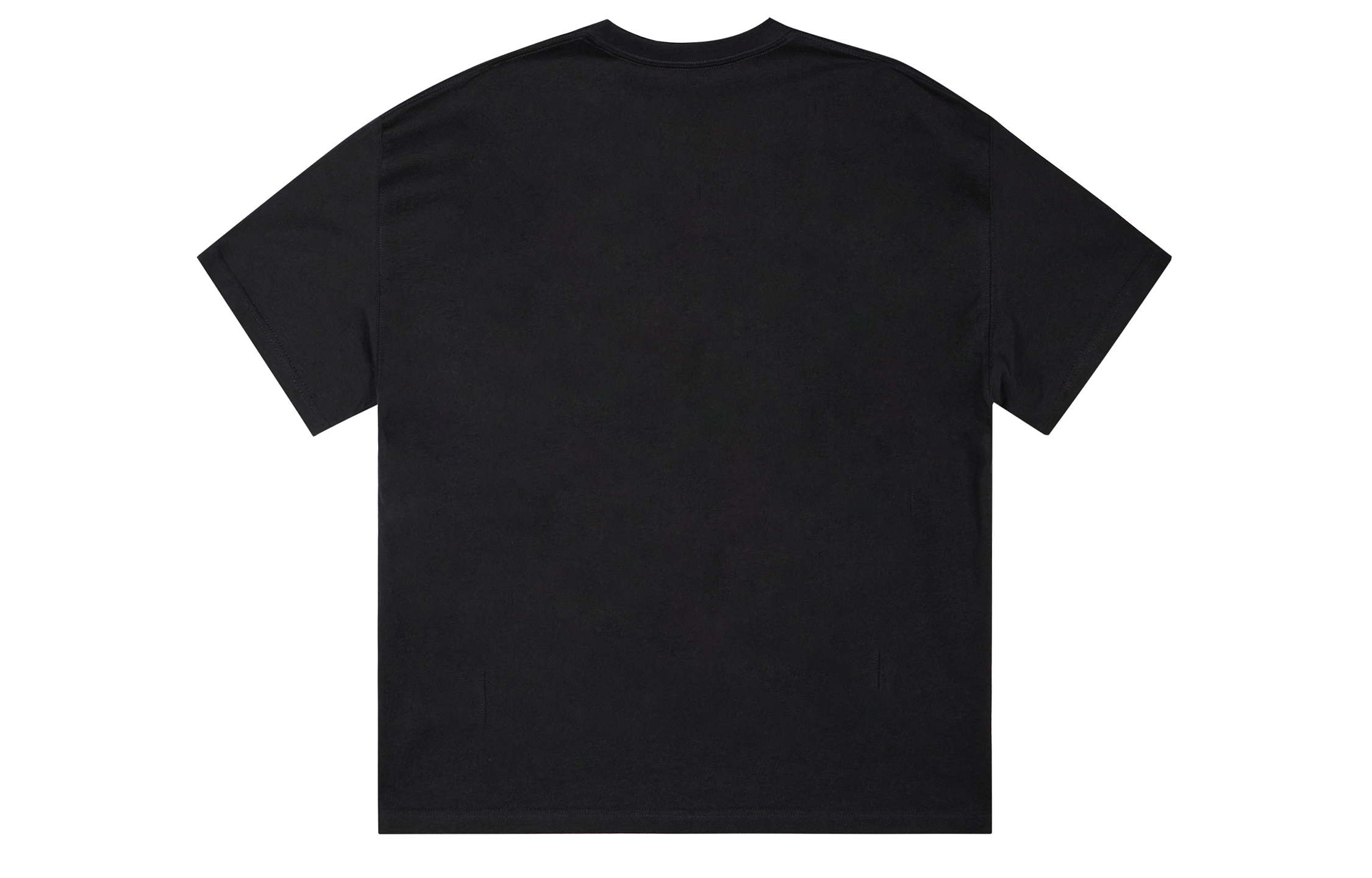 ICONS Lab ICS T
