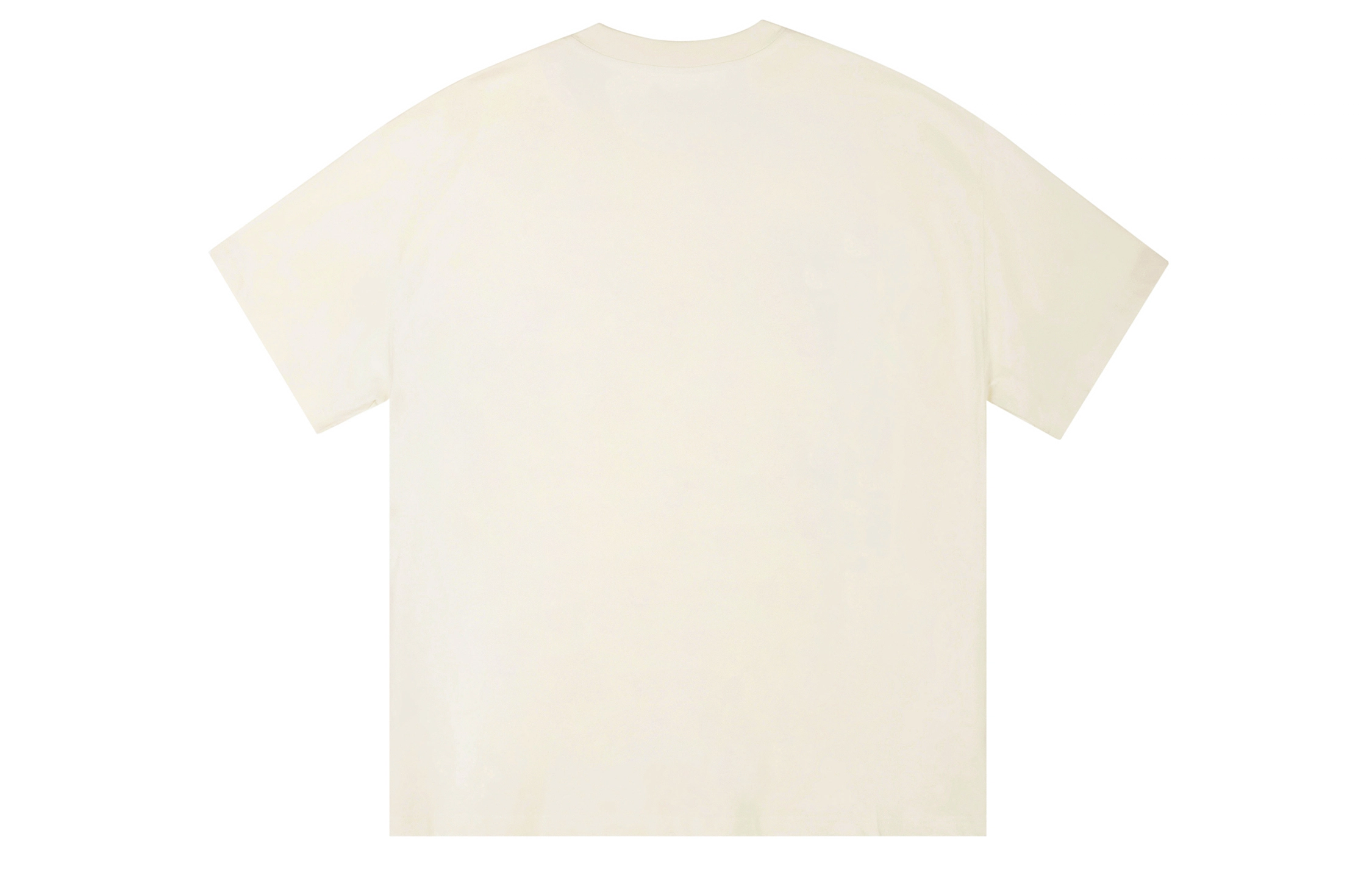 ICONS Lab ICS T