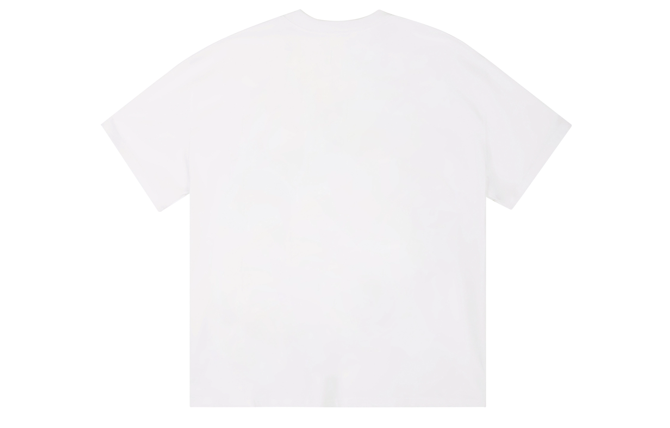 ICONS Lab ICS T