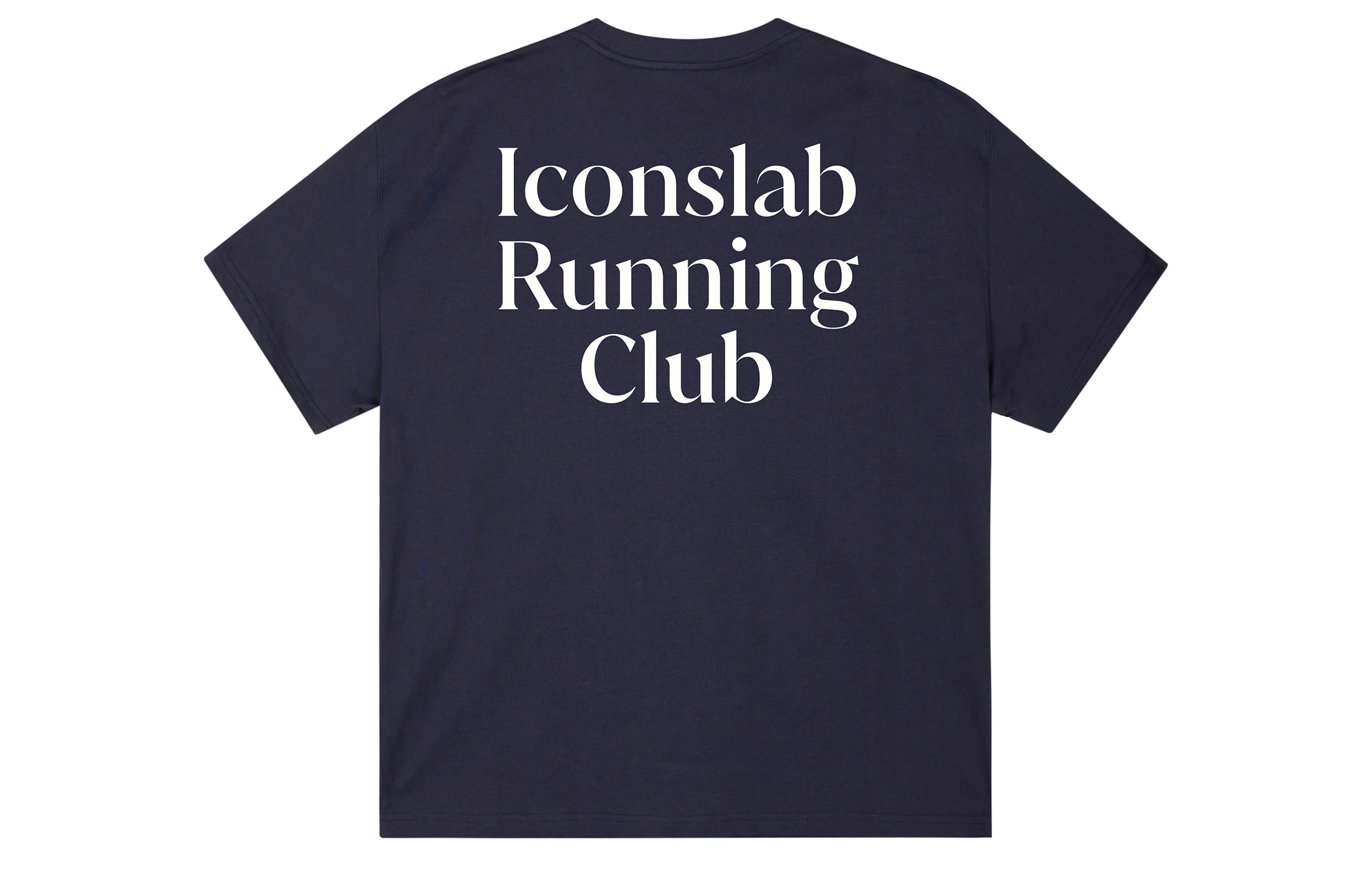 ICONS Lab ICS T