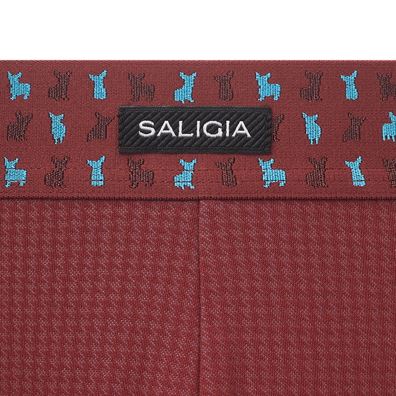 SALIGIA 80S