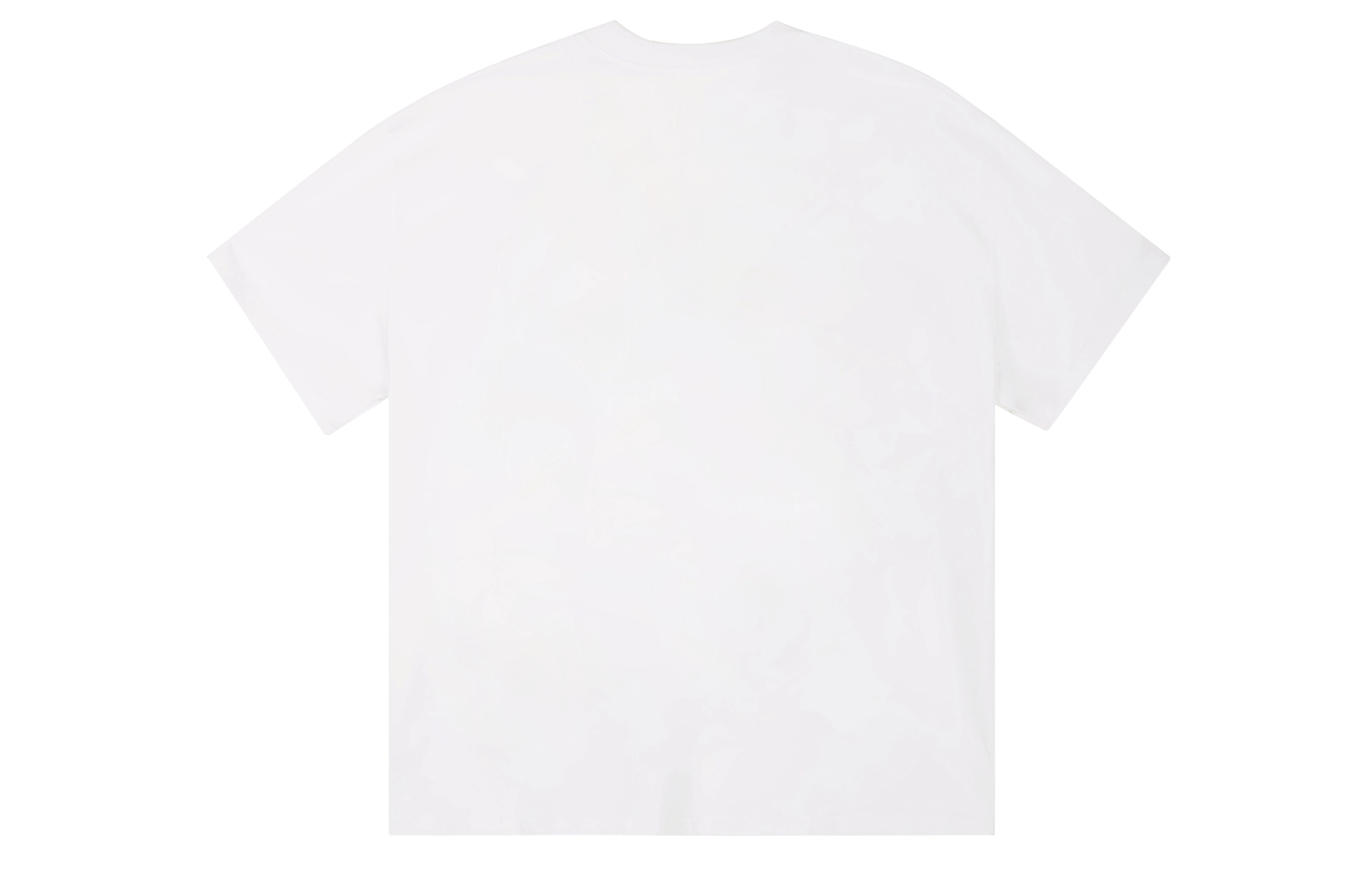 ICONS Lab ICS T