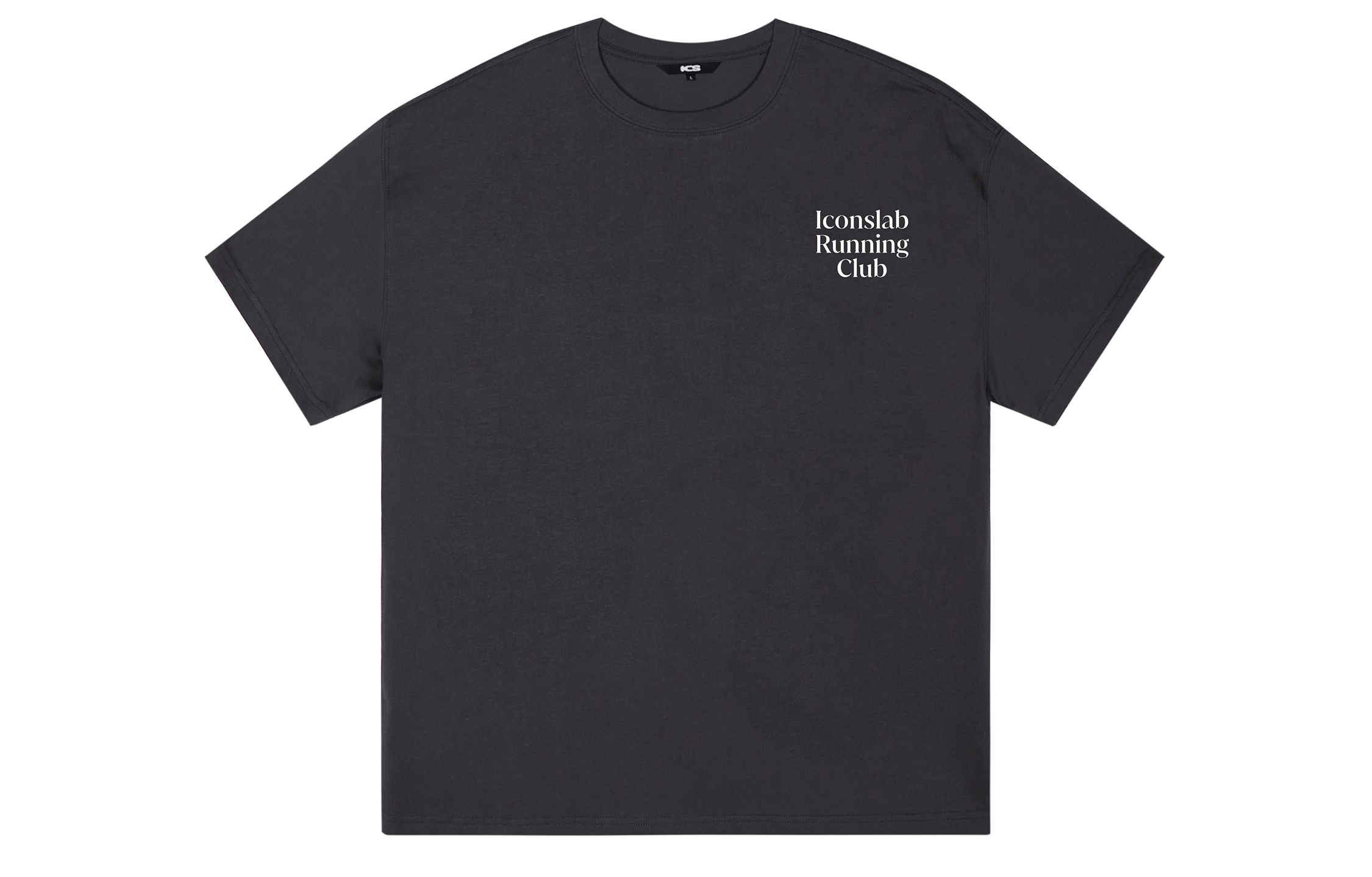 ICONS Lab ICS T