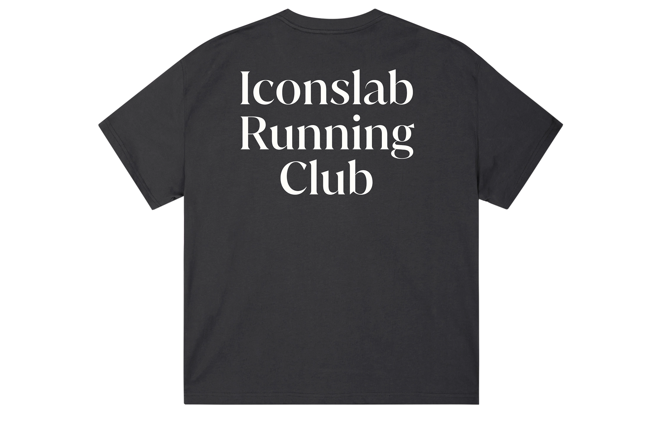 ICONS Lab ICS T