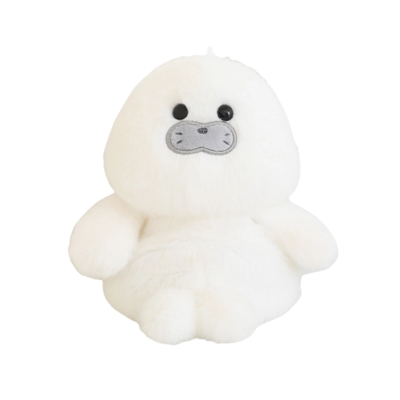 CANEXT 13cm