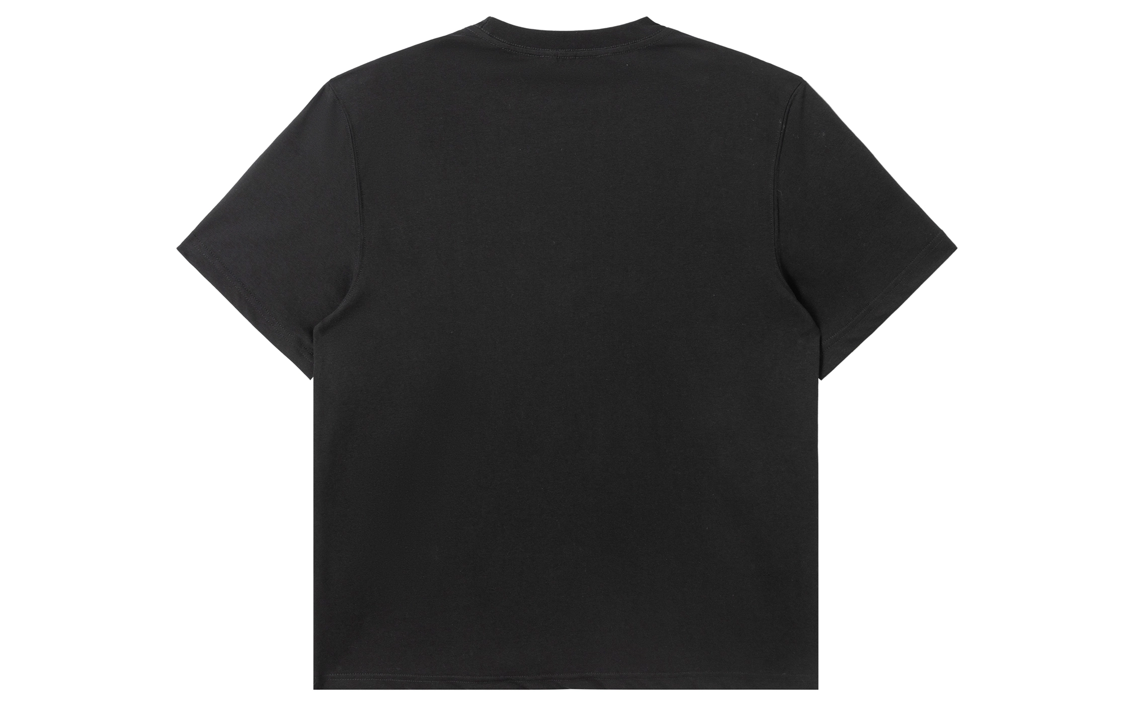 ICONS Lab ICS T
