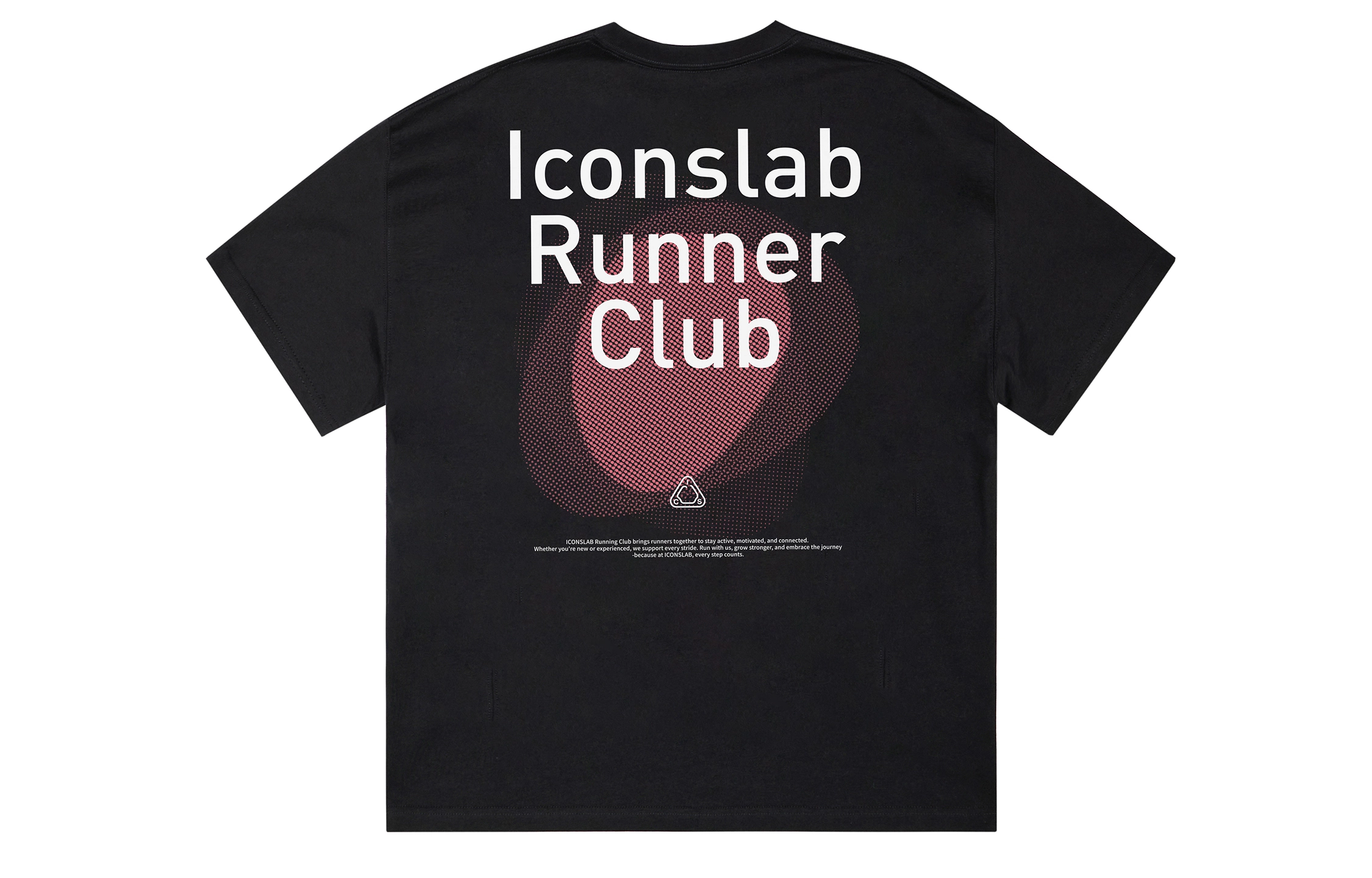 ICONS Lab ICS T
