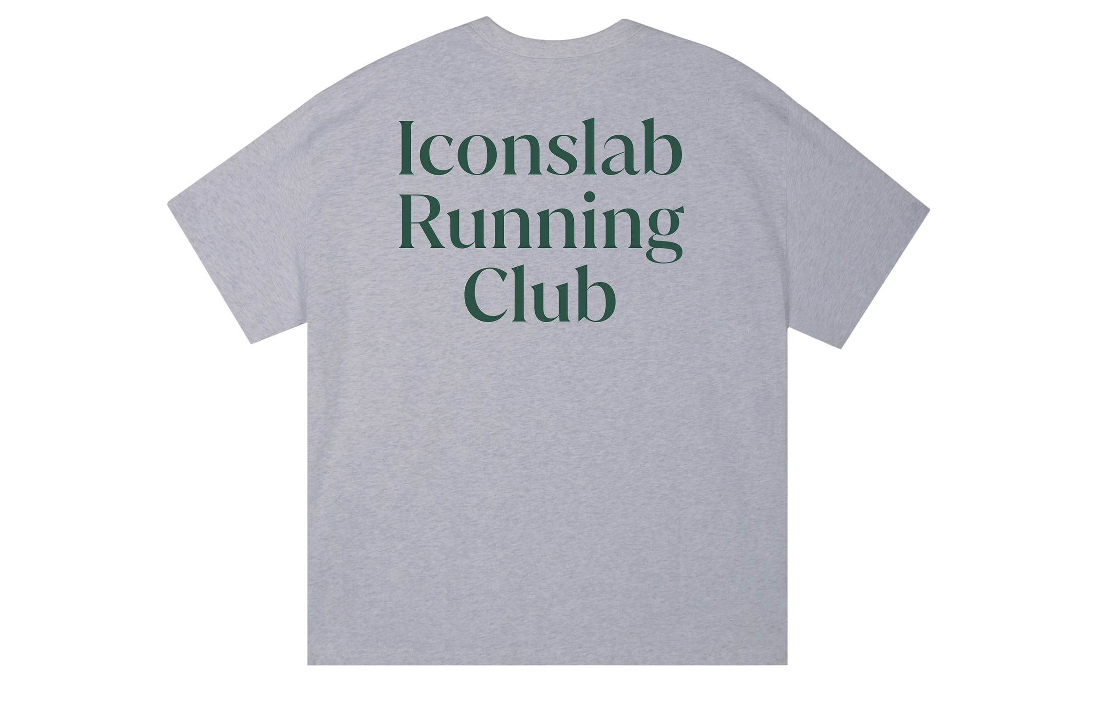 ICONS Lab ICS T