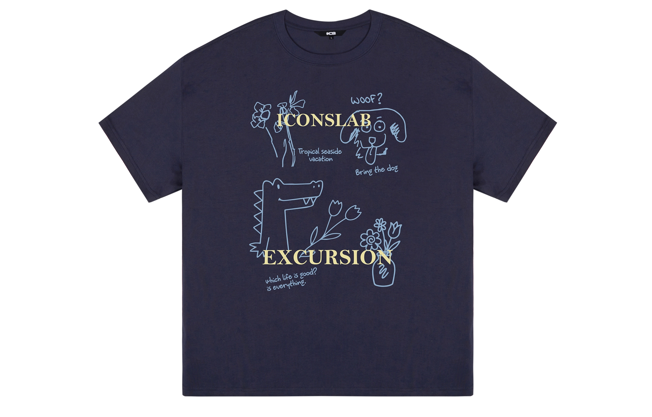 ICONS Lab ICS T