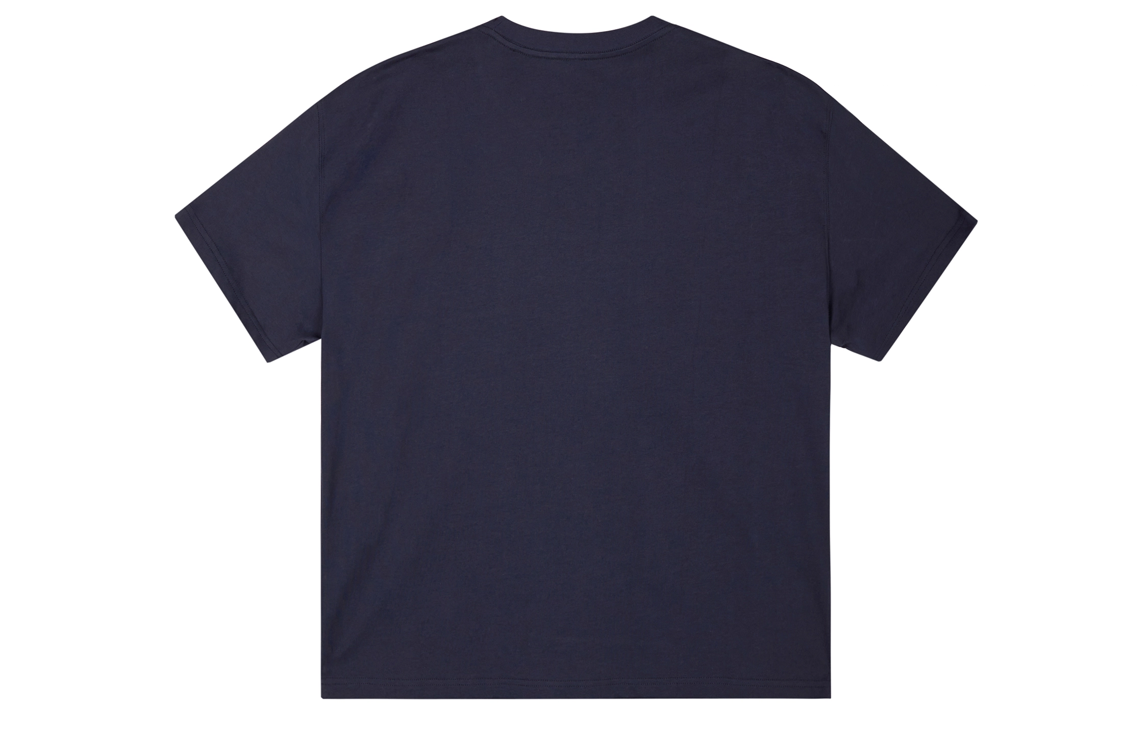 ICONS Lab ICS T