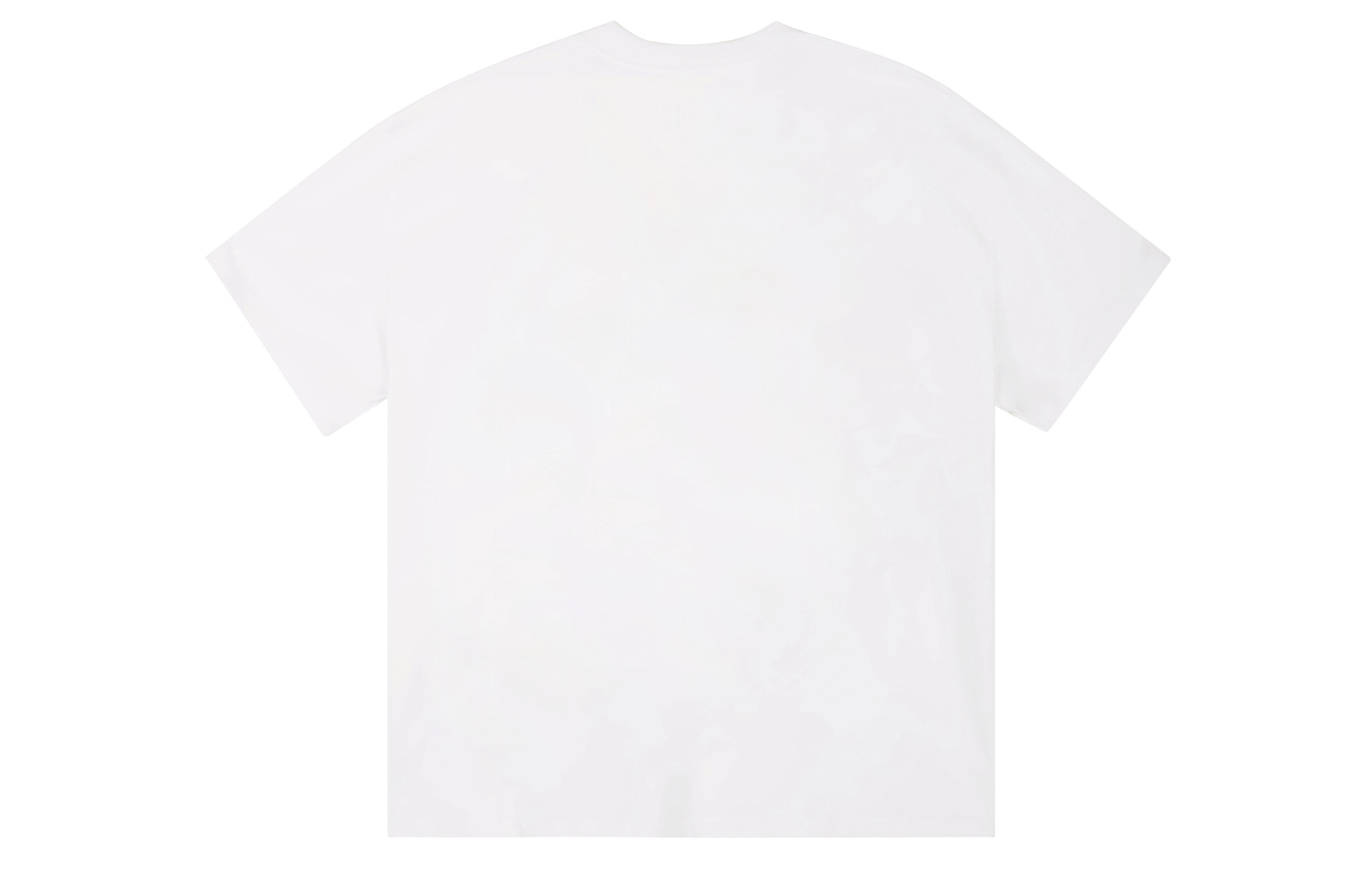 ICONS Lab ICS T