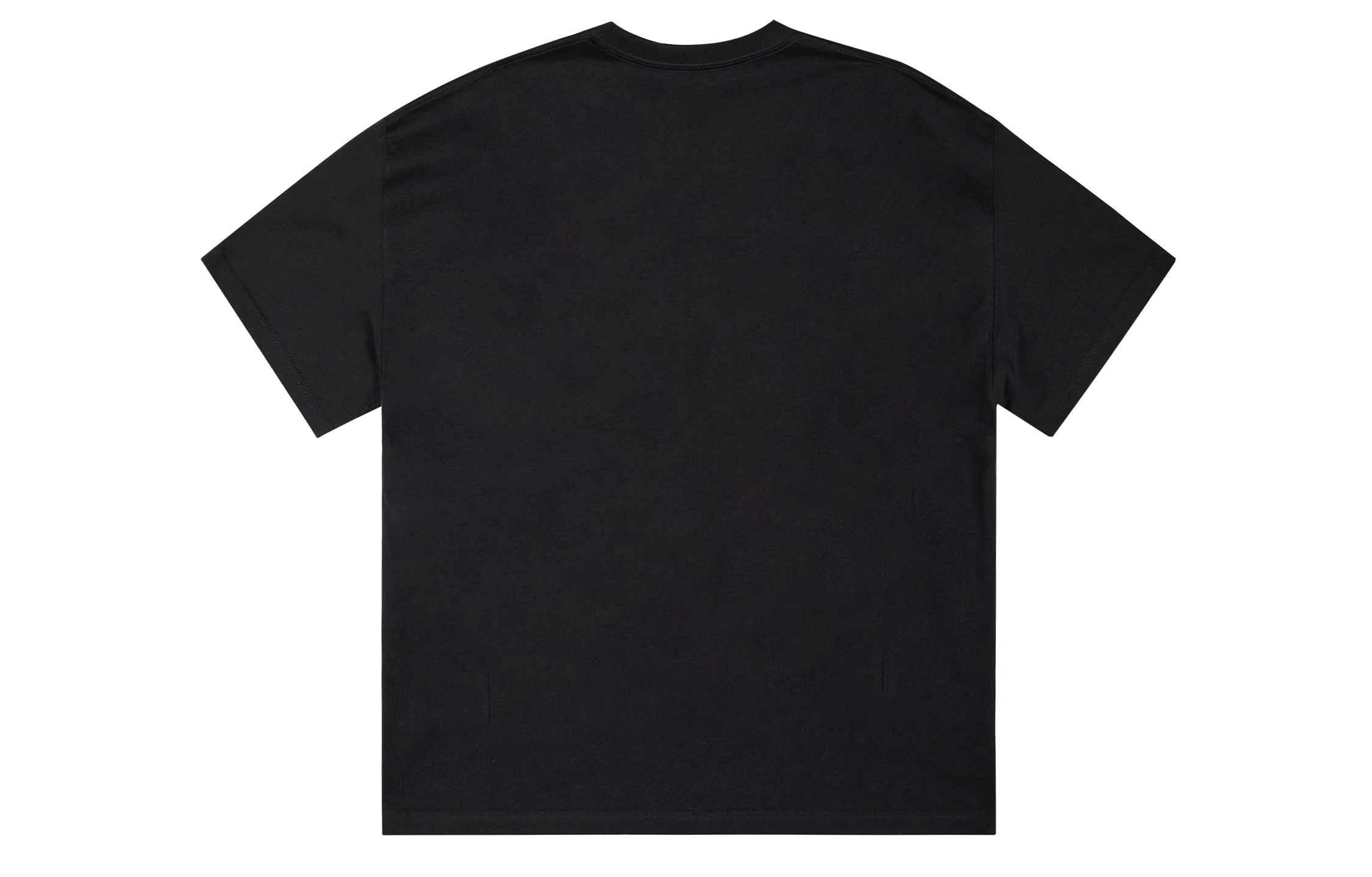 ICONS Lab ICS T