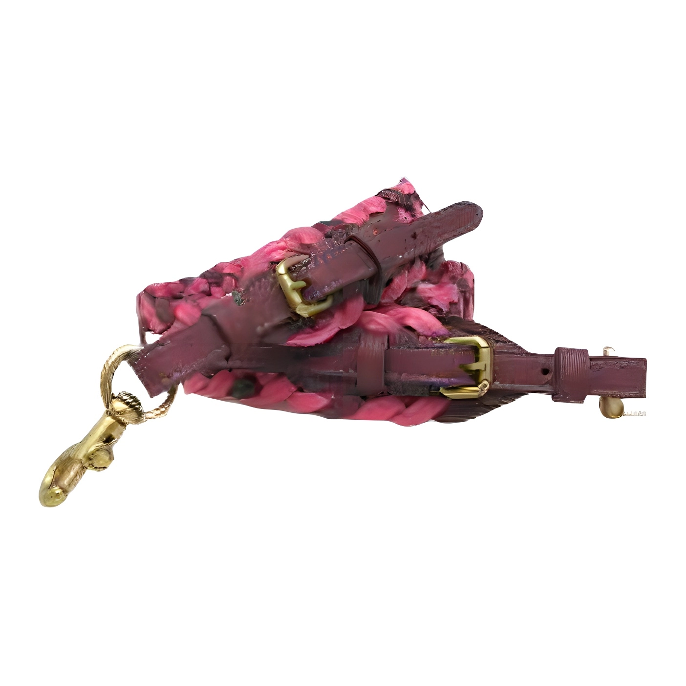 COACH Straps 108