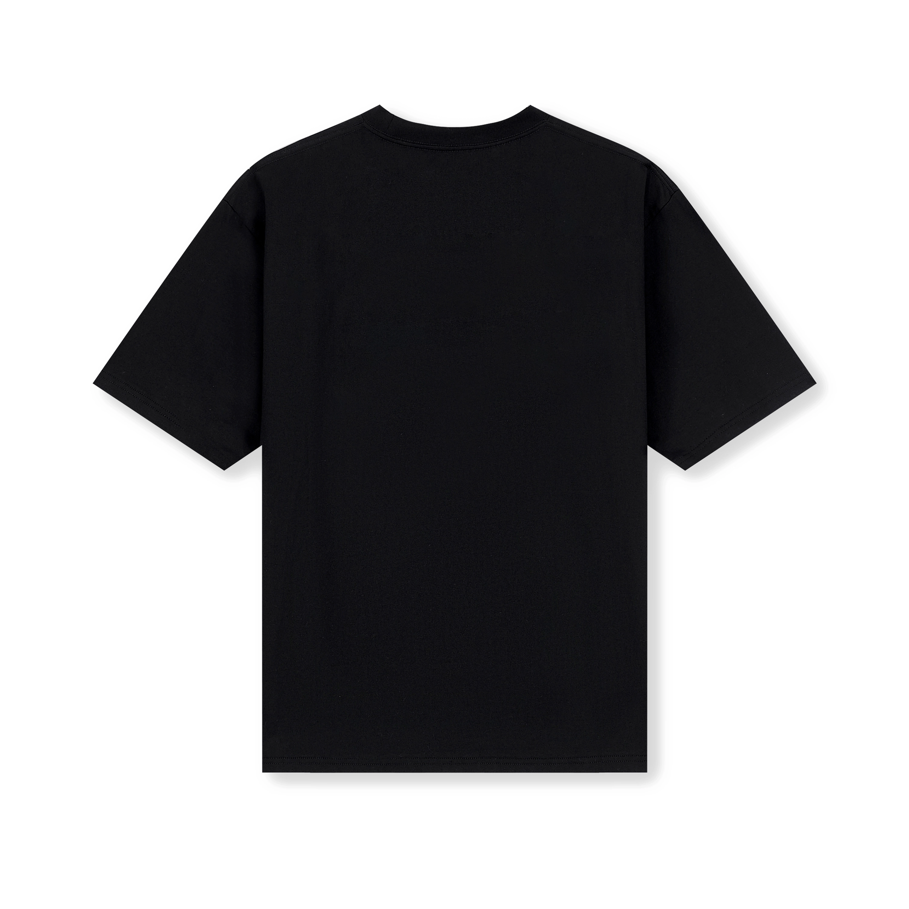 WRSTBHVR PIONEER T