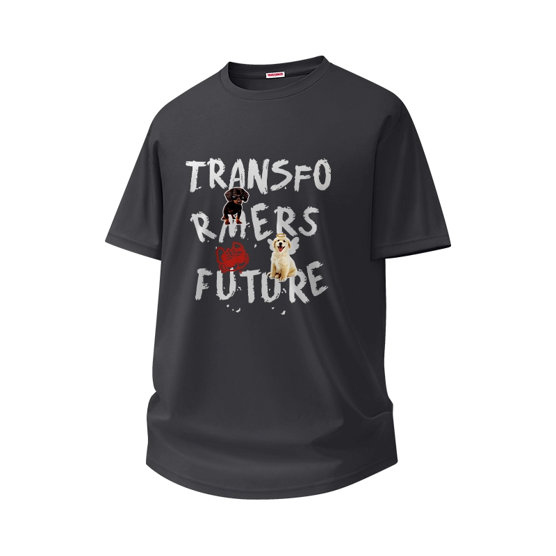 TRANSFORMERS insT