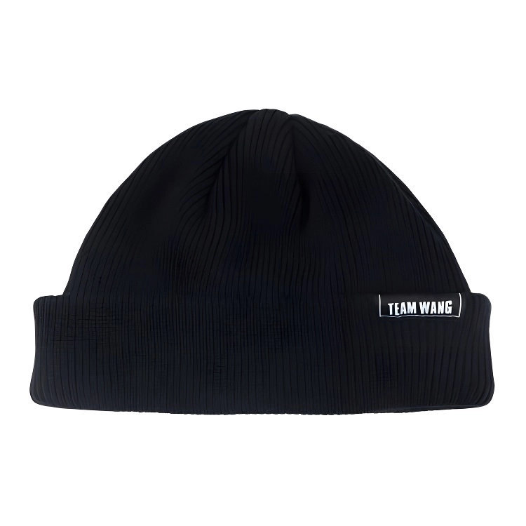 TEAM WANG BEANIE Logo