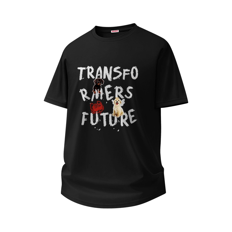TRANSFORMERS insT