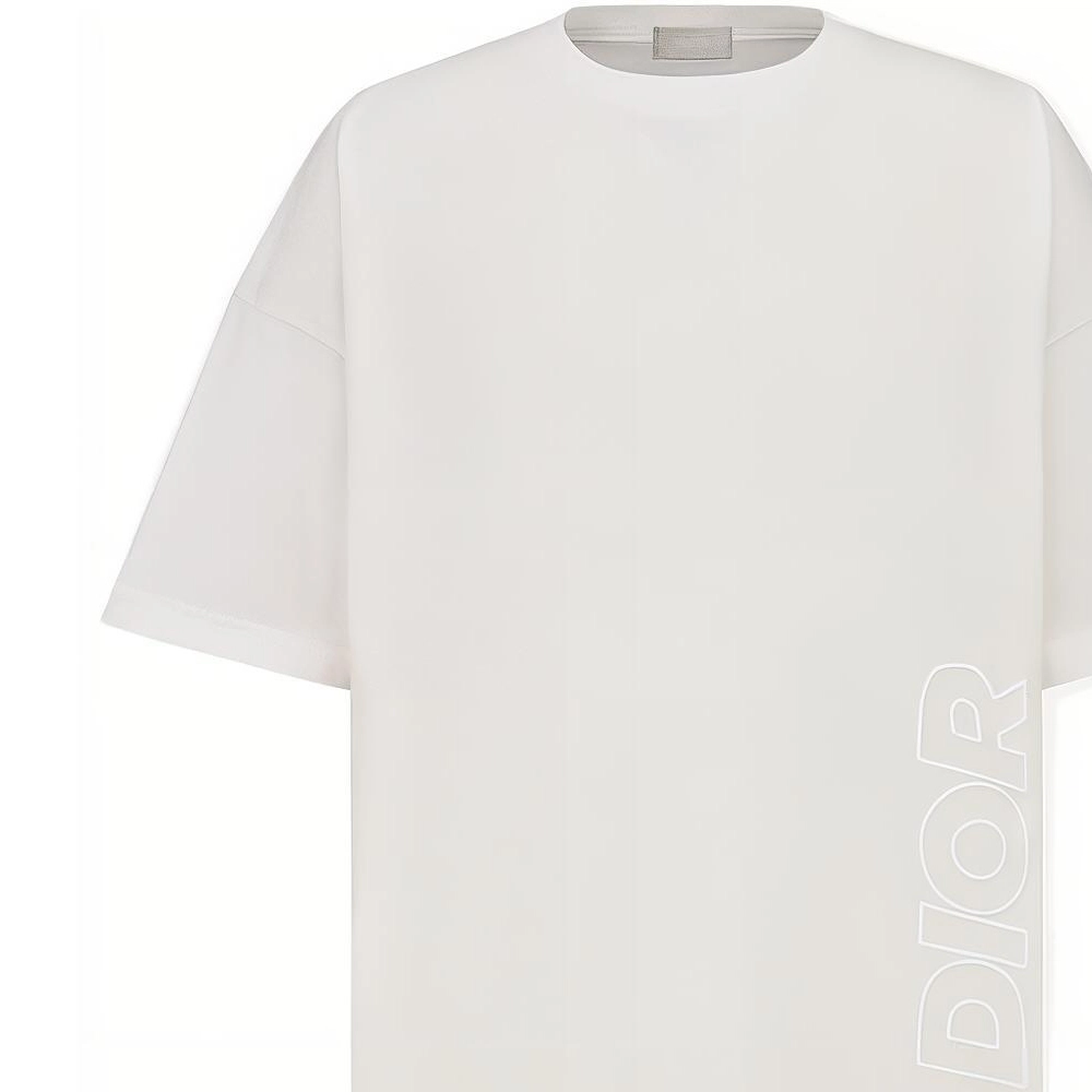 DIOR PARLEY SS22 LogoT