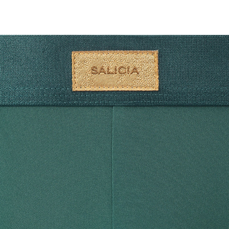 SALIGIA