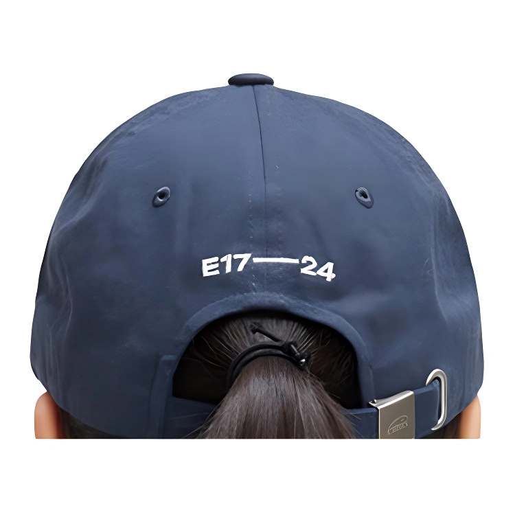 emis Logo -