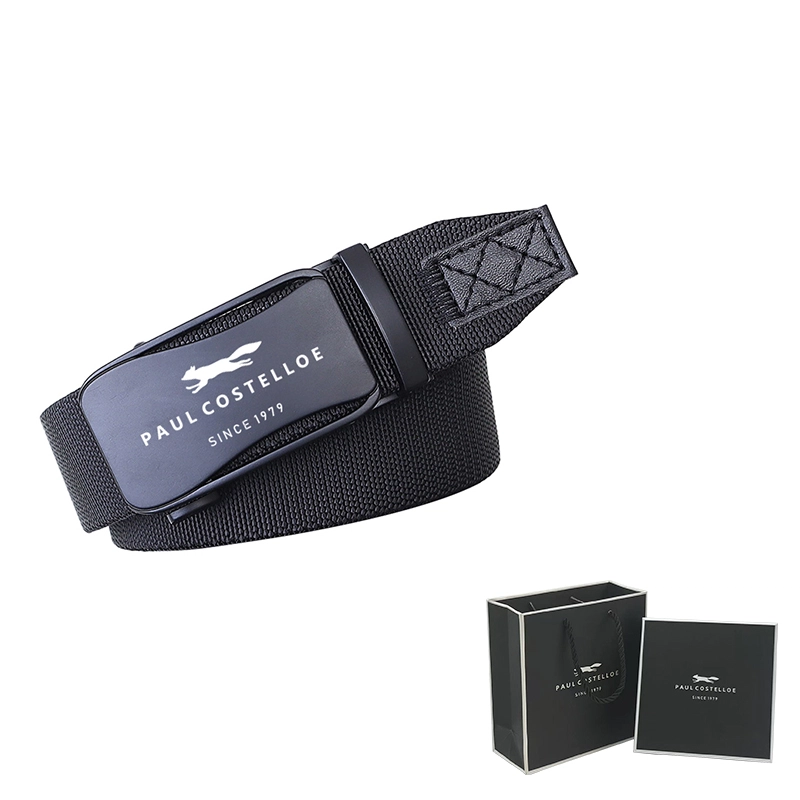 PAUL COSTELLOE 4