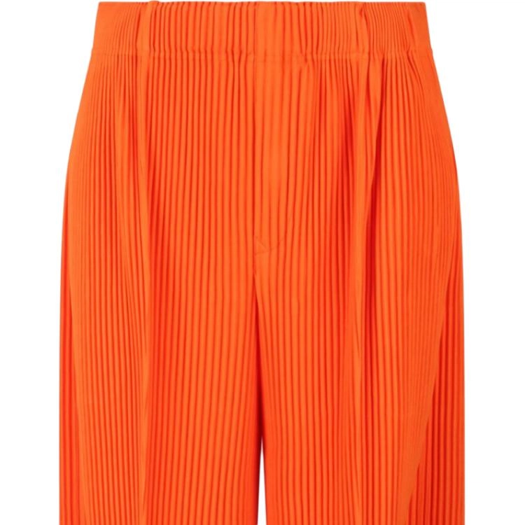 Homme Pliss Issey Miyake