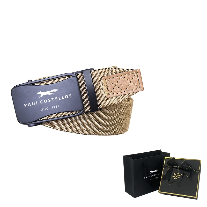PAUL COSTELLOE 4