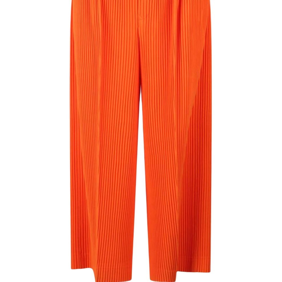 Homme Pliss Issey Miyake
