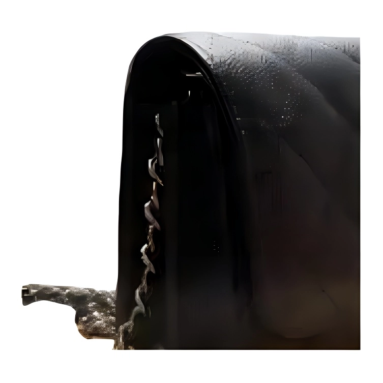 CHANEL WOC 25p