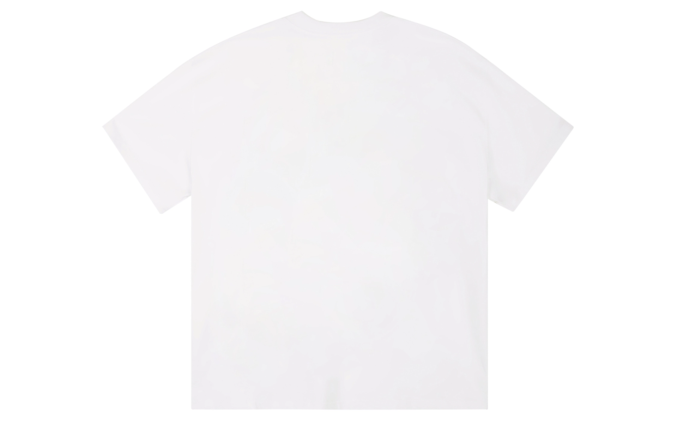 ICONS Lab T