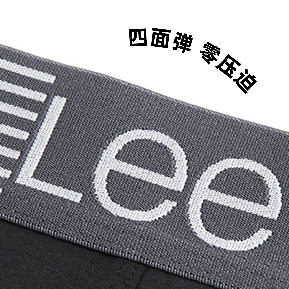 Lee Logo 1